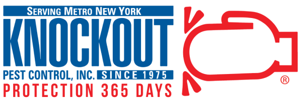 Knockout Pest Control
