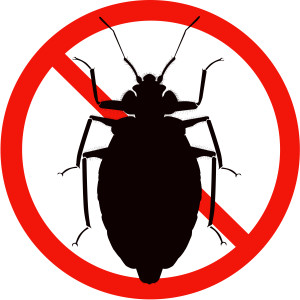 How to prevent bed bugs while traveling NYC | Long Island