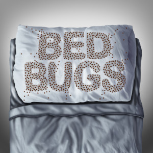 bed-bug-detection-nyc