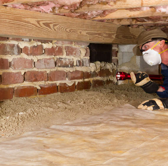 every home must be insepcted for termites before they are sold