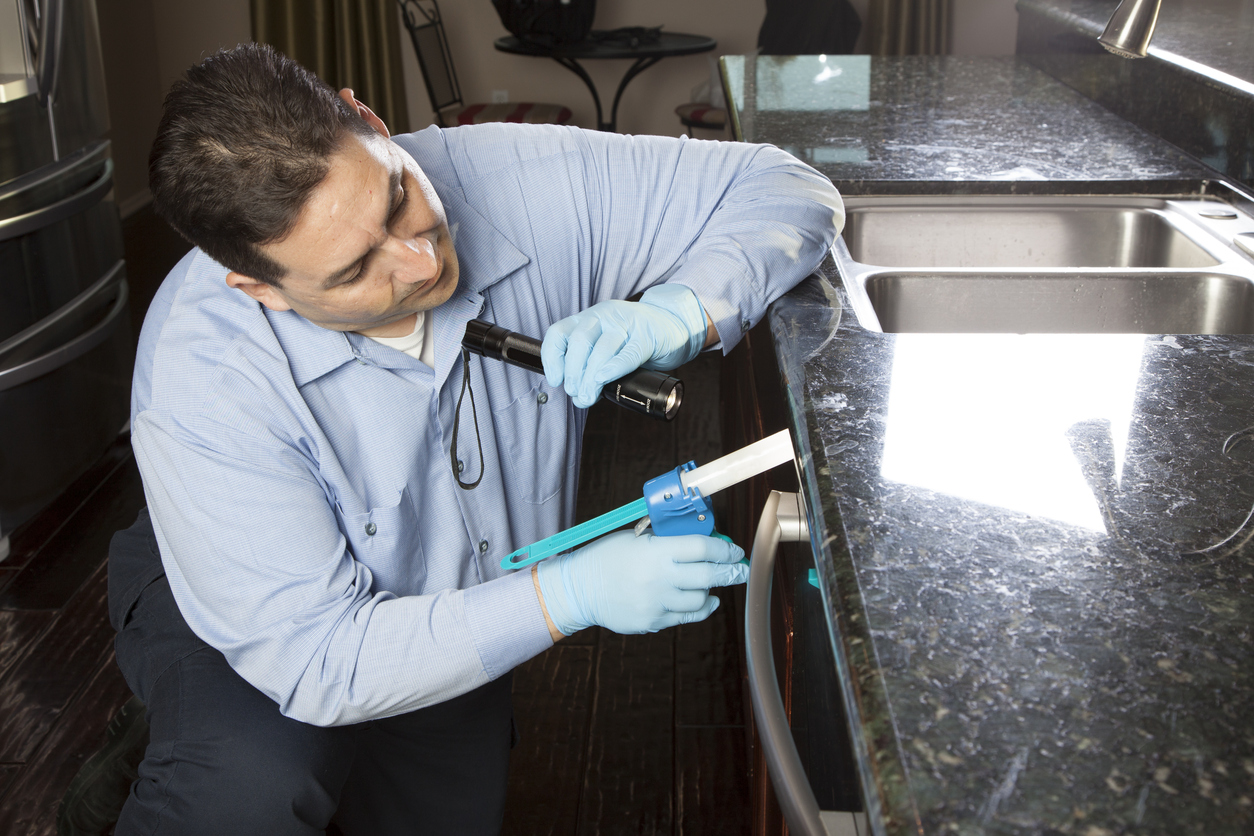 Why Pest Professionals Are Better Than DIY | Pest Control ...