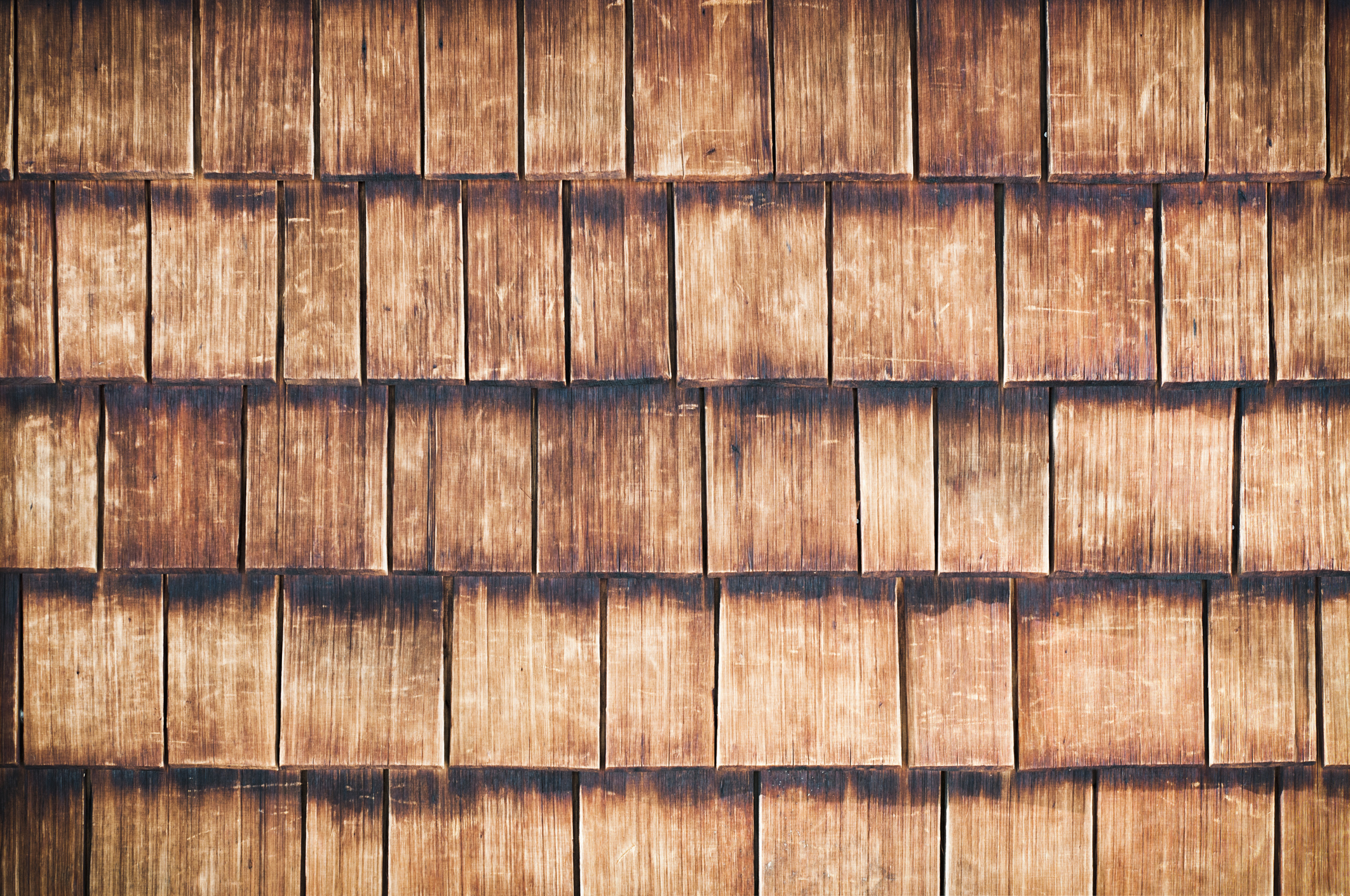 wood siding and termites