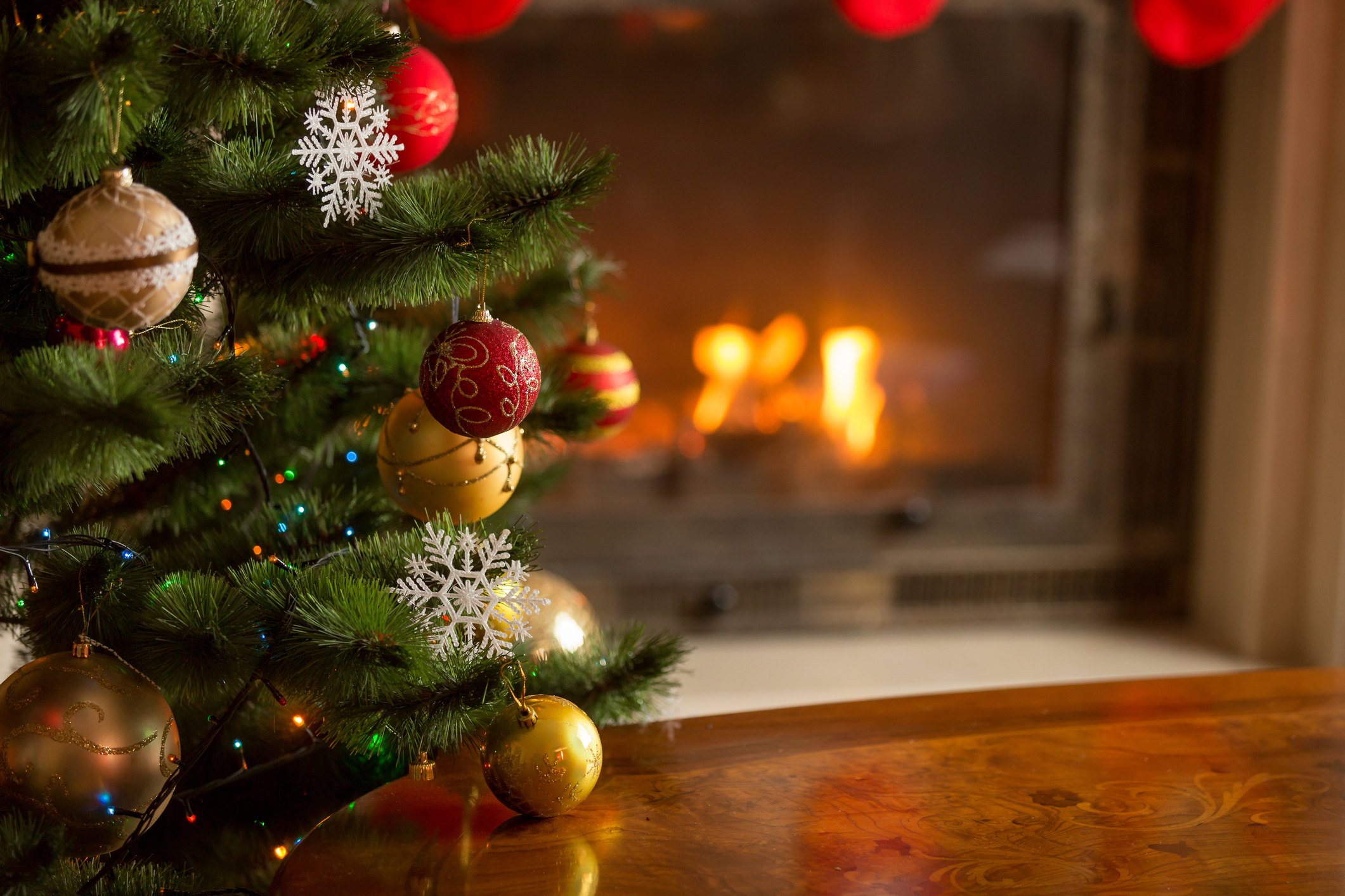 christmas trees and other decorations can hide pests and lead to further infestations