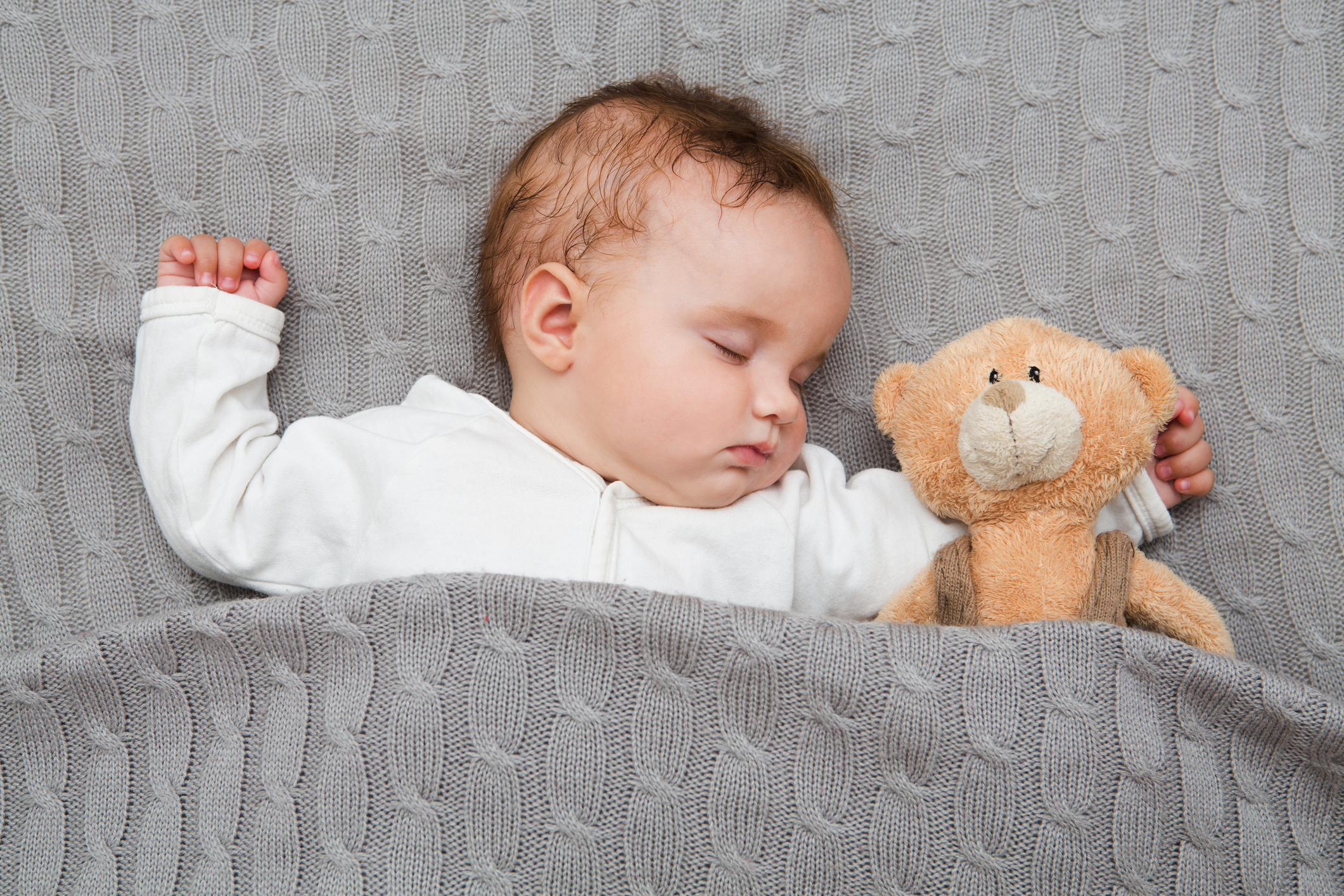 bed bugs on stuffed animals