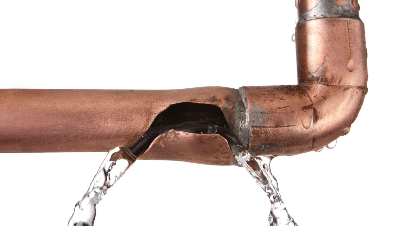 a burst water pipe can lead to a pest infestation