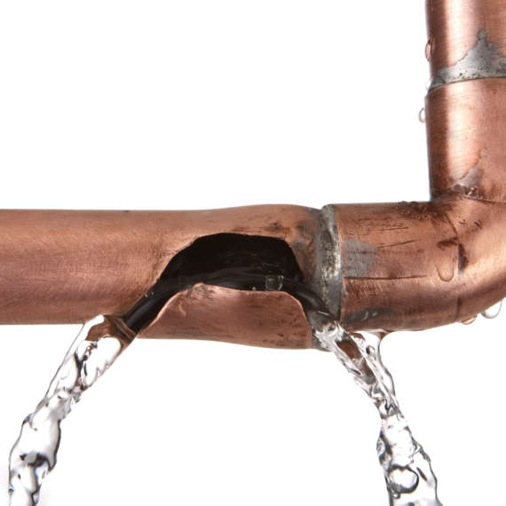 a burst water pipe can lead to a pest infestation