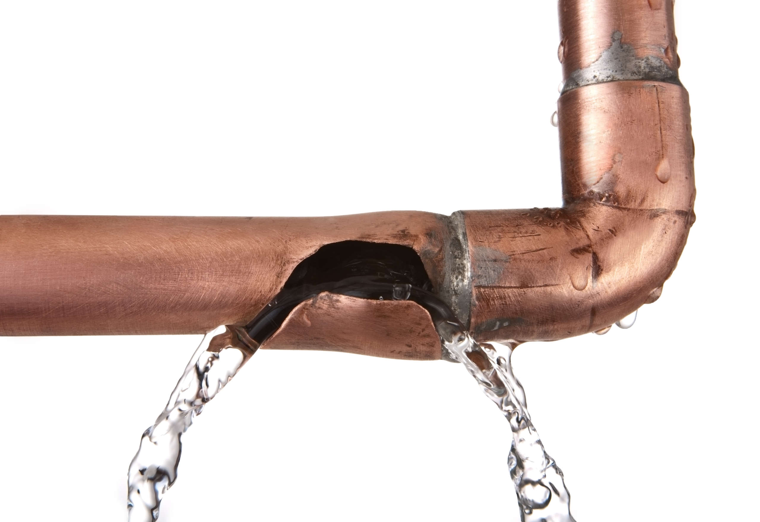 a burst water pipe can lead to a pest infestation