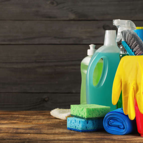 cleaning your home can significantly reduce your chances of a pest infestation