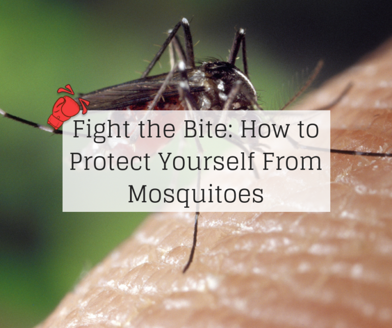 Fight the Bite: How to Protect Yourself From Mosquitoes - Knockout Pest ...