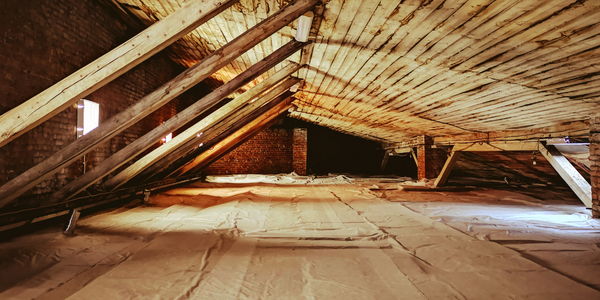 The 5 Most Common Attic Pests | Attic Pest Control | Knockout Pest Control | Pest Control Near Me