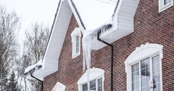 The Impact Weather Conditions Have On Winter Pest Activity | Pest Control Services