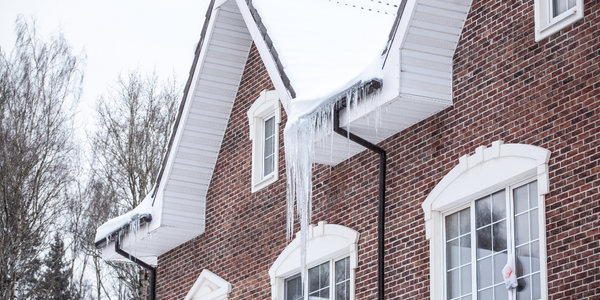 The Impact Weather Conditions Have On Winter Pest Activity | Pest Control Services