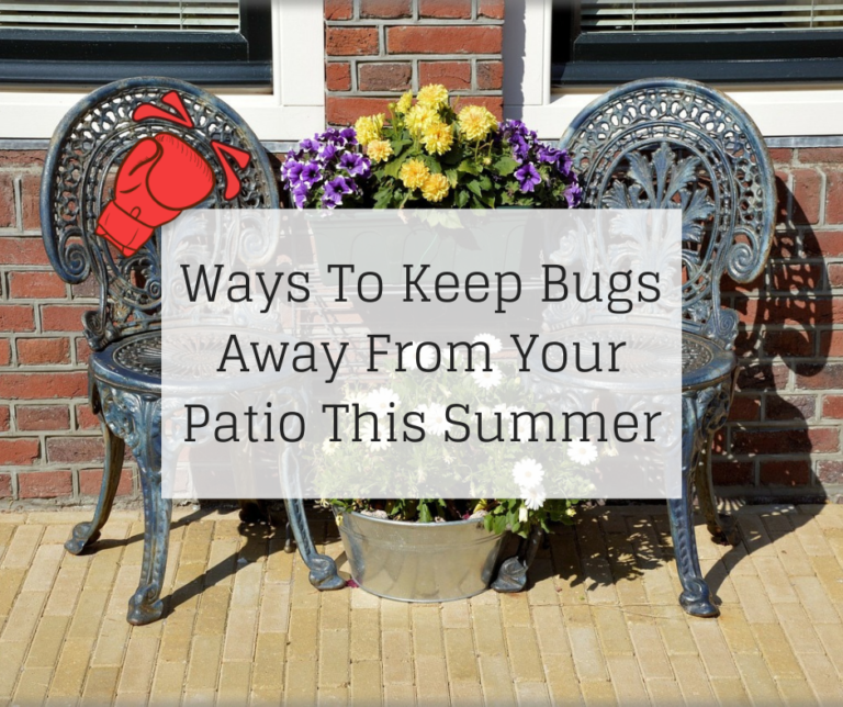 ways-to-keep-bugs-away-from-your-patio-this-summer-knockout-pest-control