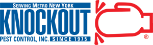 Knockout Pest Control | New York Pest Control Services