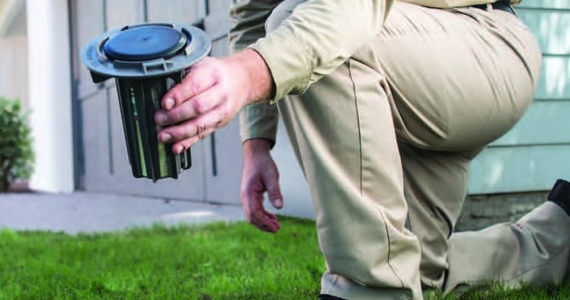 Trelona Bait Stations vs. Sentricon — Which Should You Choose? | Knockout Pest Control