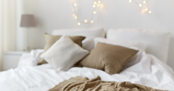 Home for the Holidays: A Seasonal Guide to Bed Bug Prevention | Knockout Pest Control