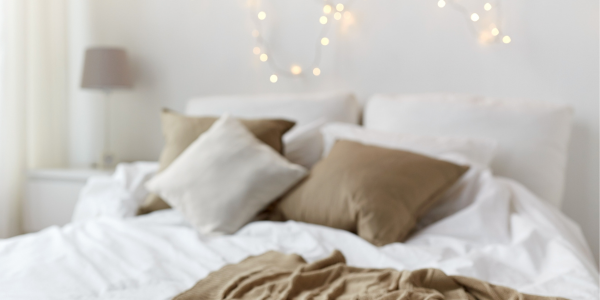 Home for the Holidays: A Seasonal Guide to Bed Bug Prevention | Knockout Pest Control