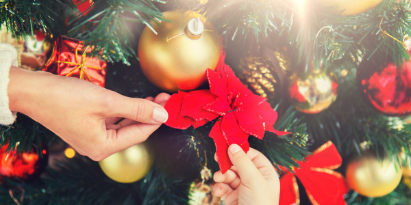 5 Tips to Avoid Pests in Your Holiday Decorations | Knockout Pest Control