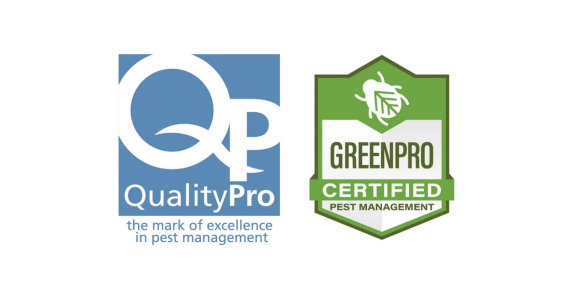 Gold Standard Pest Management: Why QualityPro Certification Sets Knockout Apart