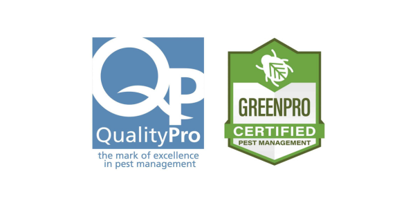Gold Standard Pest Management: Why QualityPro Certification Sets Knockout Apart | Knockout Pest Control
