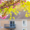 Spring Into Action: Essential Pest Control Tips for the New Season