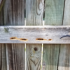 Bee-Ware! Identifying Signs of a Carpenter Bee Infestation