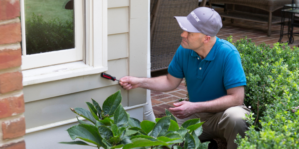 Why Do You Need an Annual Termite Inspection? | Knockout Pest Control