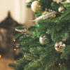 How to Avoid Bringing Christmas Tree Bugs into Your Home This Year