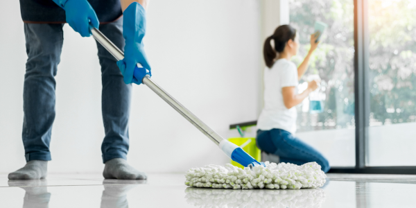 Spring Pest Proofing Tips for Long Island Homes | Knockout Pest Control | Long Island Pest Control