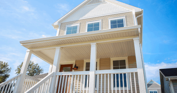 All About Beach Bugs and Common Pests Near Coastal Homes | Knockout Pest Control | NY Pest Control Services