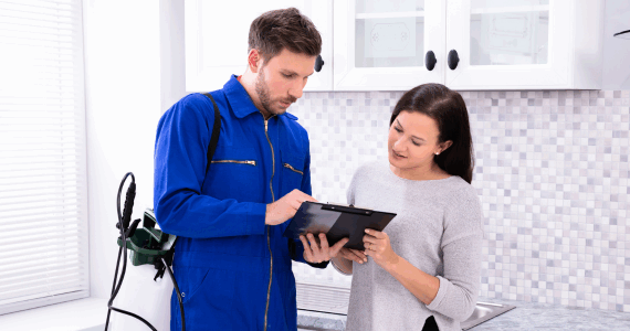 Late Summer Pest Check: Signs It’s Time for a Professional Inspection | Knockout Pest Control | NY Pest Control Services