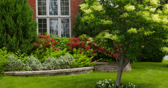 Mulch, Shrubs & Bugs—What’s the Connection Between Landscaping and Pests on Long Island? | Knockout Pest Control | NY Pest Control Services | Pest Control Near Me