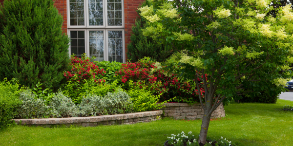 Mulch, Shrubs & Bugs—What’s the Connection Between Landscaping and Pests on Long Island? | Knockout Pest Control | NY Pest Control Services | Pest Control Near Me