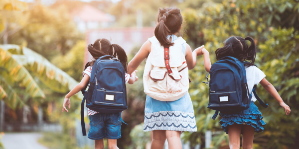 Back-to-School Bed Bugs: What Every Parent Should Know | Knockout Pest Control | NY Pest Control Services