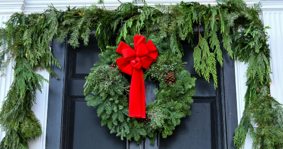 Home for the Holidays—And So Are the Pests! | Knockout Pest Control | NY Pest Control