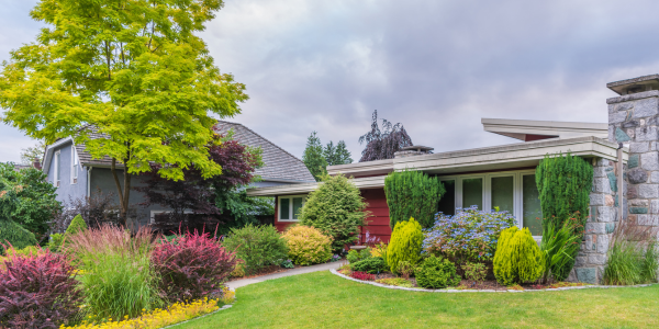 Don't Let End-of-Summer Pest Activity Turn Into a Fall Infestation