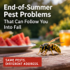 End-of-Summer Pest Problems That Can Follow You Into Fall
